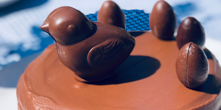 Le noisetier praliné ultra rapide de Maison Bastille