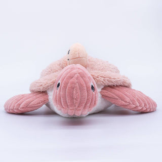 Maman et bébé tortue rose