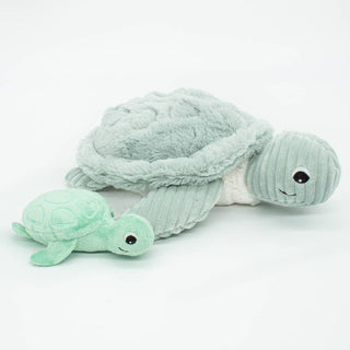 Maman et bébé tortue menthe