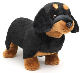 Peluche Chien teckel