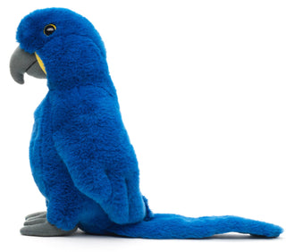Peluche Perroquet - 25 cm