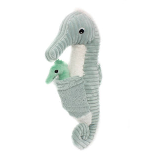 Hippocampe Papa et bébé menthe