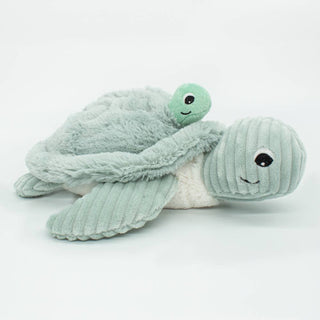 Maman et bébé tortue menthe