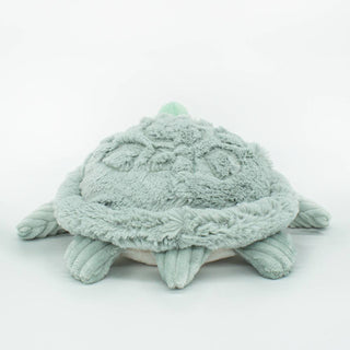 Maman et bébé tortue menthe