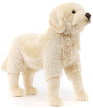Peluche - Golden Retriever debout - h50 cm