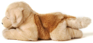 Golden Retriever couché