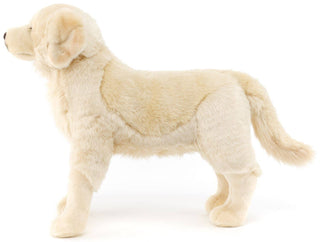 Peluche - Golden Retriever debout - h50 cm