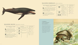 La Grande encyclopédie illustrée des mammifères