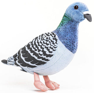 Peluche - Pigeon - h20 cm