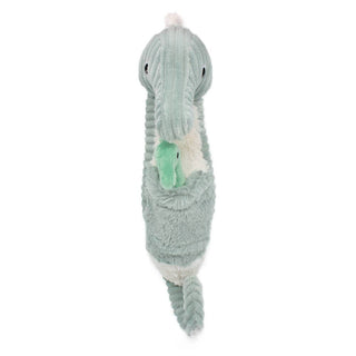 Hippocampe Papa et bébé menthe