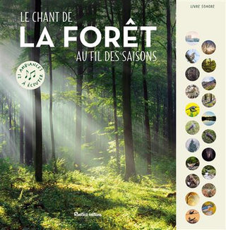 Le chant de la forêt au fil des saisons : 21 ambiances à écouter
