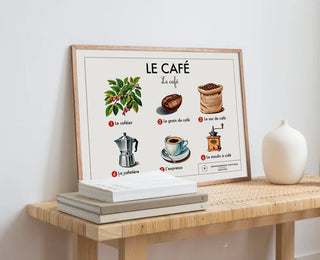 Affiche éducative - Le café