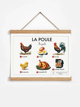 Affiche éducative - La poule