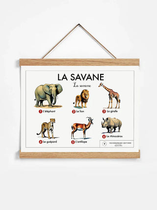 Affiche éducative - La savane