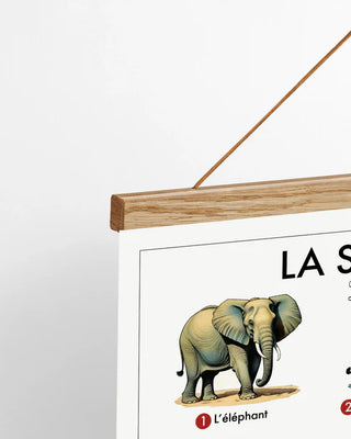 Affiche éducative - La savane