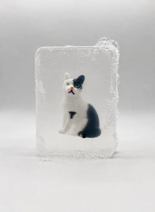Savon chat