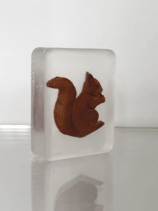 Savon écureuil
