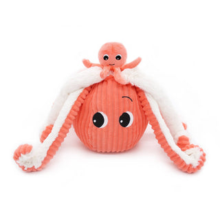 Maman et bébé poulpe corail