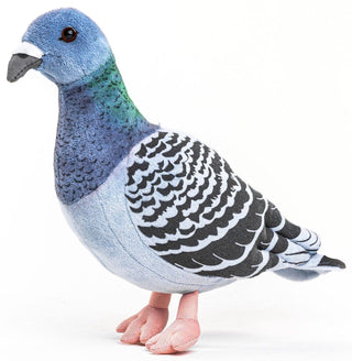 Peluche - Pigeon - h20 cm