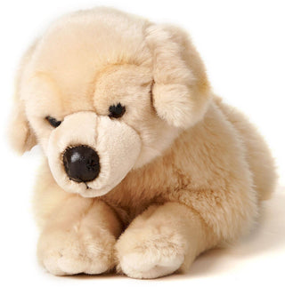 Peluche - Golden Retriever couché - L40 cm
