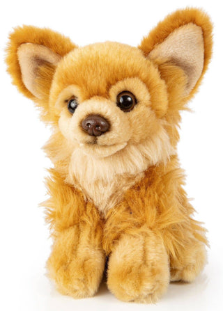 Peluche - Chihuahua - h17 cm