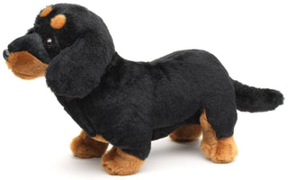 Peluche Chien teckel