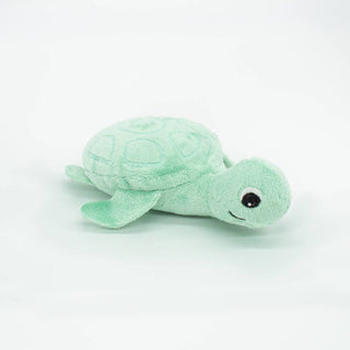 Maman et bébé tortue menthe