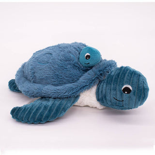 Maman et bébé tortue bleu
