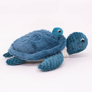 Maman et bébé tortue bleu
