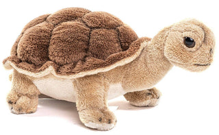 Peluche tortue 19 cm