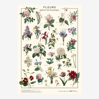 Affiche Fleurs – 50 × 70 cm – Les Jolies Planches