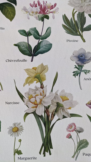 Affiche Fleurs – 50 × 70 cm – Les Jolies Planches