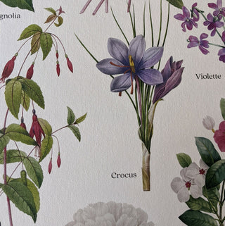 Affiche Fleurs – 50 × 70 cm – Les Jolies Planches