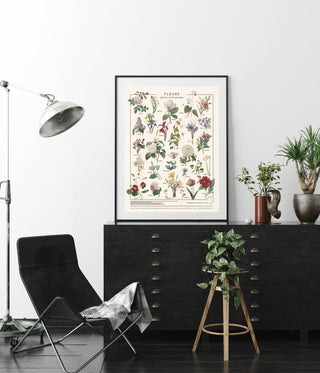 Affiche Fleurs – 50 × 70 cm – Les Jolies Planches