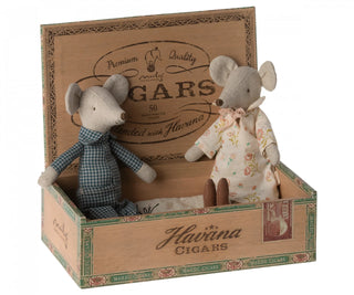 Grand-mère & Grand-père souris dans leur boîte