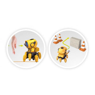 Robot Tibo - Buki