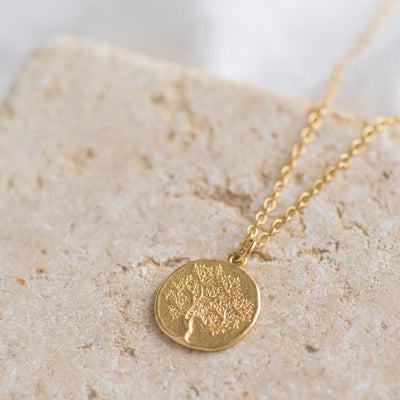 Collier médaille Olivier - Gratia