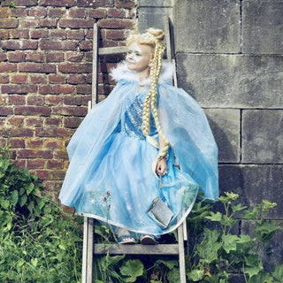 Déguisement Princesse des Neiges