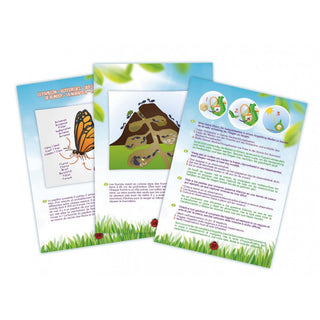 Explorateur d'insectes - Buki