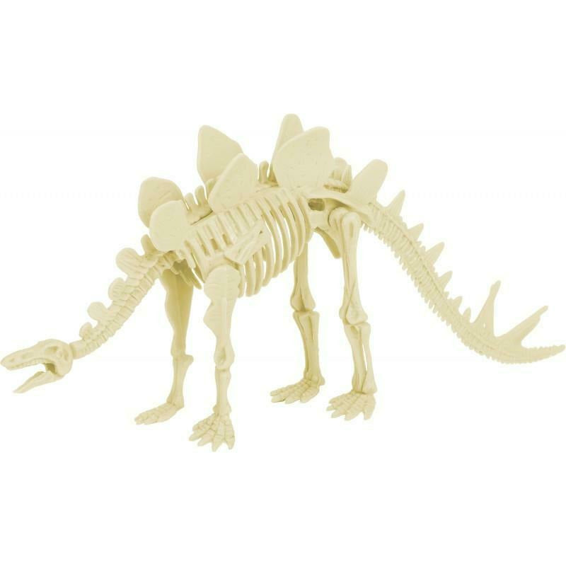 Kit de paléontologie - Stégosaure - Ulysse