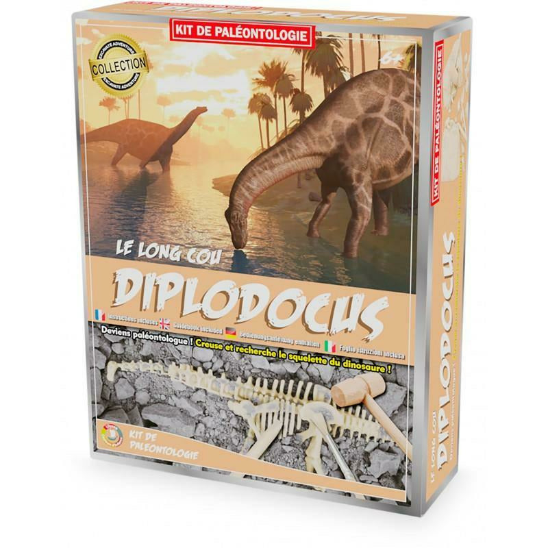 Kit de paléontologie - Diplodocus - Ulysse