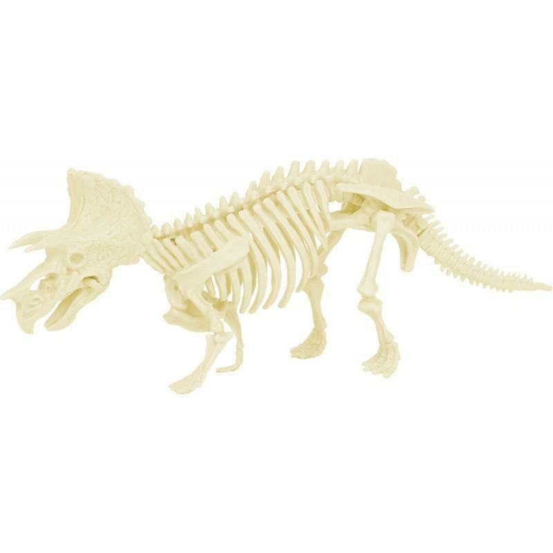 Kit de paléontologie - Triceratops - Ulysse