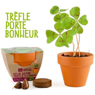 Kit trèfle à 4 feuilles - Radis et Capucine