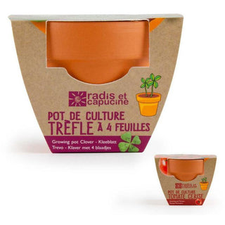 kit de cuture de trèfle à 4 feuilles 