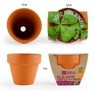 kit de cuture de trèfle à 4 feuilles 