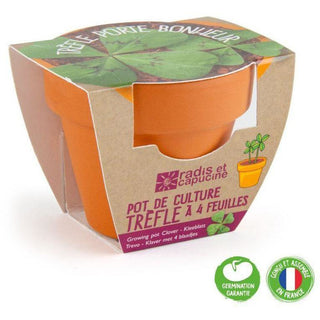 kit de cuture de trèfle à 4 feuilles 