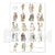 Affiche - frise des costumes - By BM