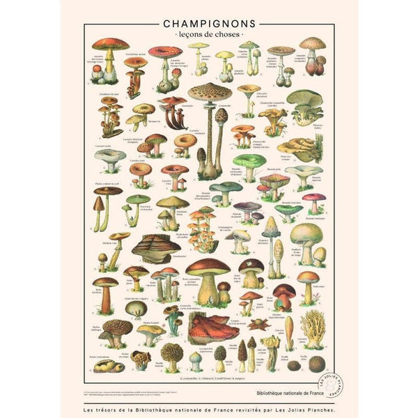 Planche champignons - Les Jolies Planches