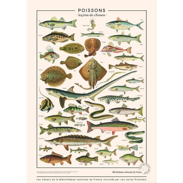 Planche poissons - Les Jolies Planches