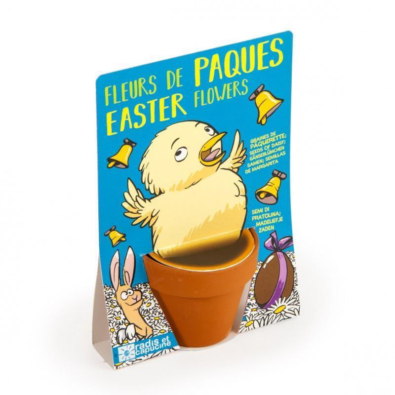 Poussin de Pâques et ses pâquerettes - Radis et Capucine